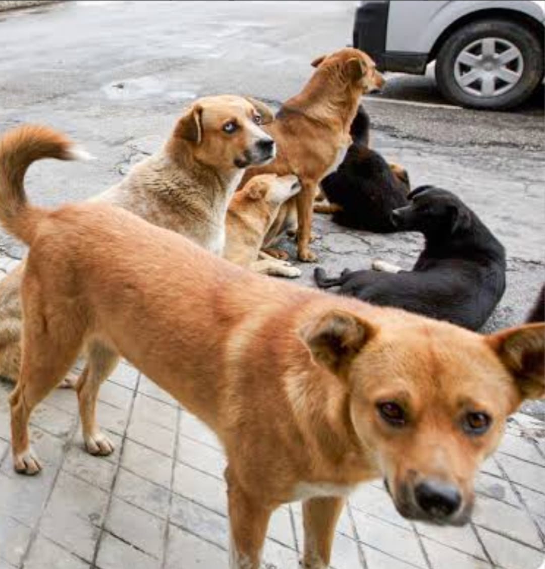 I M G 20250829 W A0041