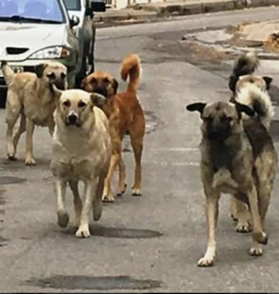 I M G 20250829 W A0042