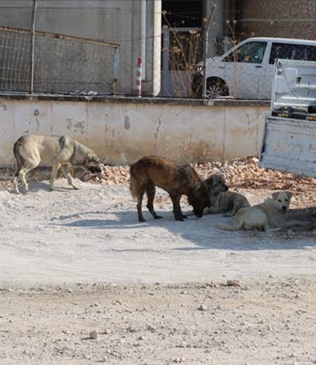 I M G 20250829 W A0043