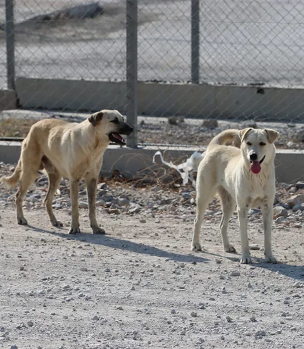 I M G 20250829 W A0044