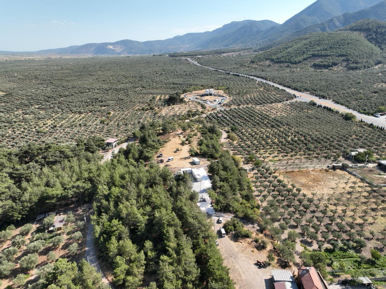 Bütün Türkiye Manisa’yı Örnek Alacak Sokak Hayvanlarına Dev Yaşam Alan (3)