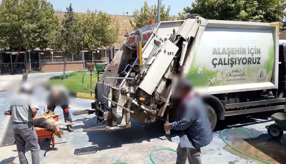 Manisa’da Hayvanseverleri Ayağa Kaldıran Görüntüler (3)