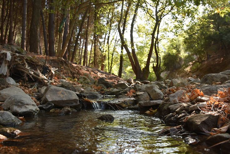 Manisa’nın Gizli Cenneti O Köy Keşfedilmeyi Bekliyor (1)