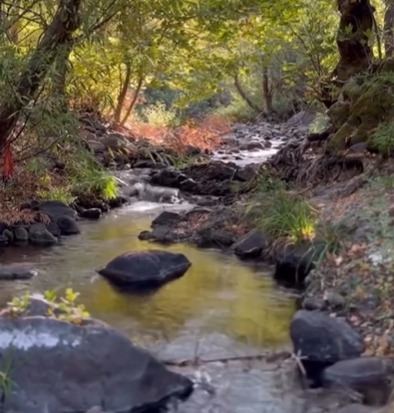Manisa’nın Gizli Cenneti O Köy Keşfedilmeyi Bekliyor (2)
