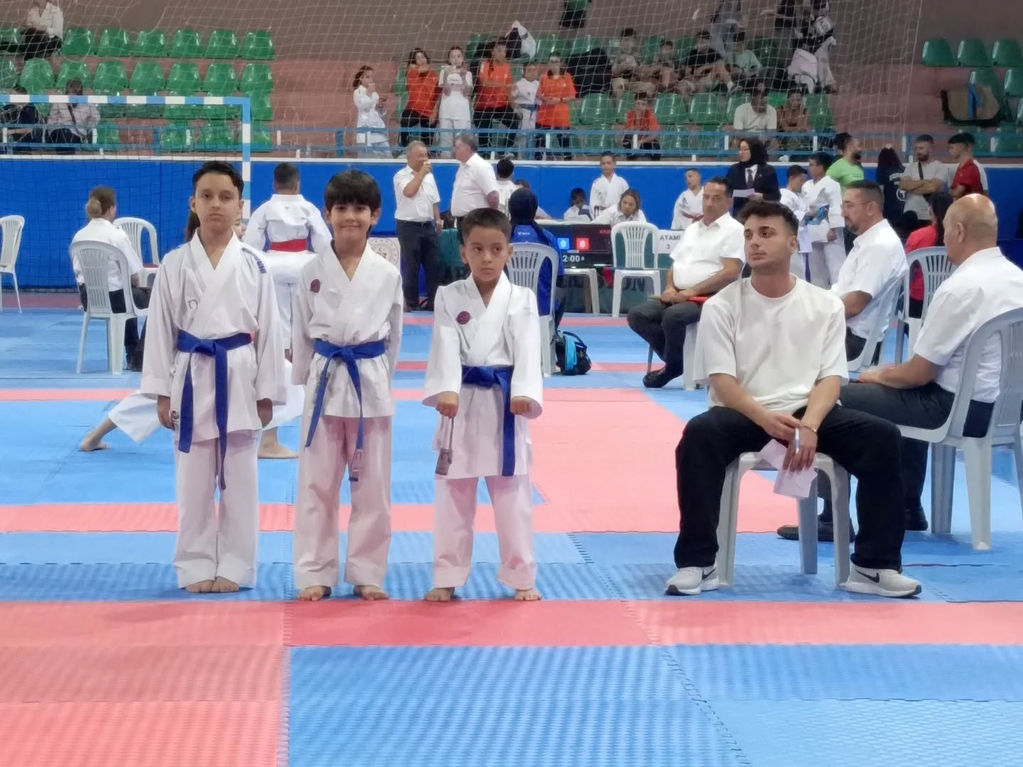 546417183 18197781661315842 303392296726166687 N