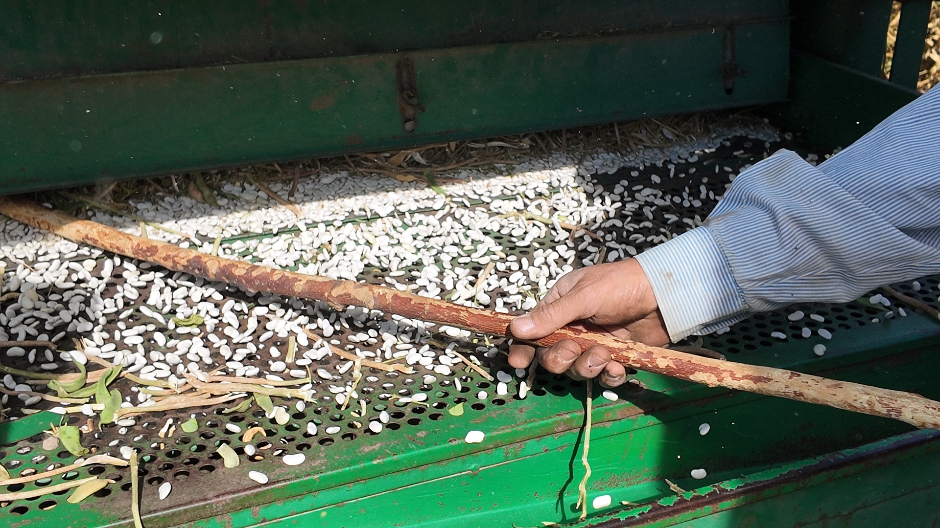 Dji 20250918154908 0101 D 2F794