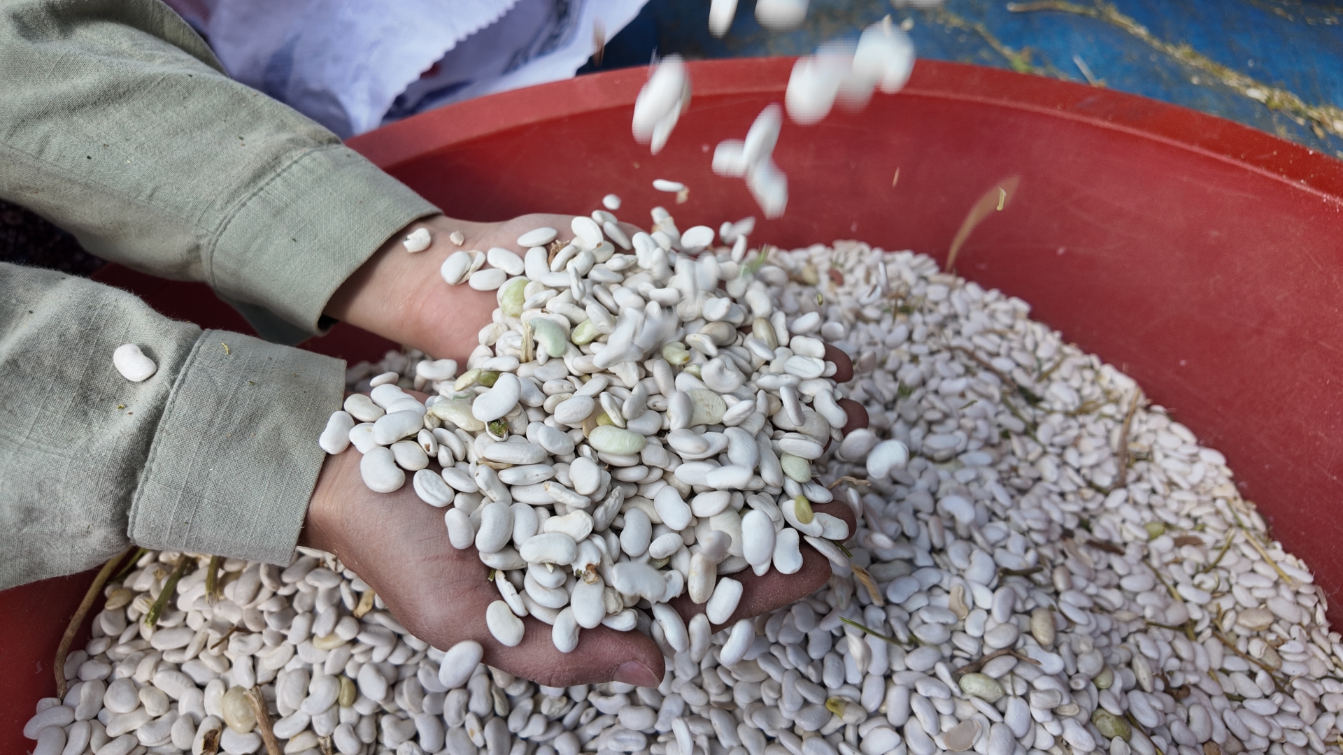 Dji 20250918155030 0111 D 30Ddc