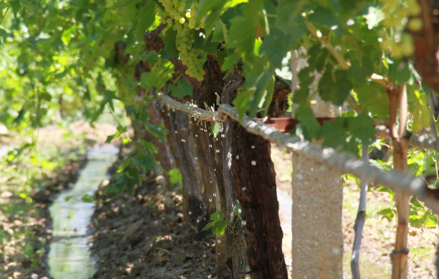 Elektronik Sayaçlar (5)