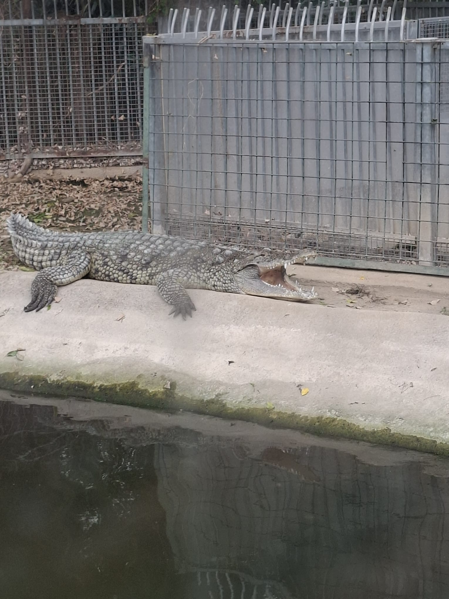 I M G 20250902 W A0027