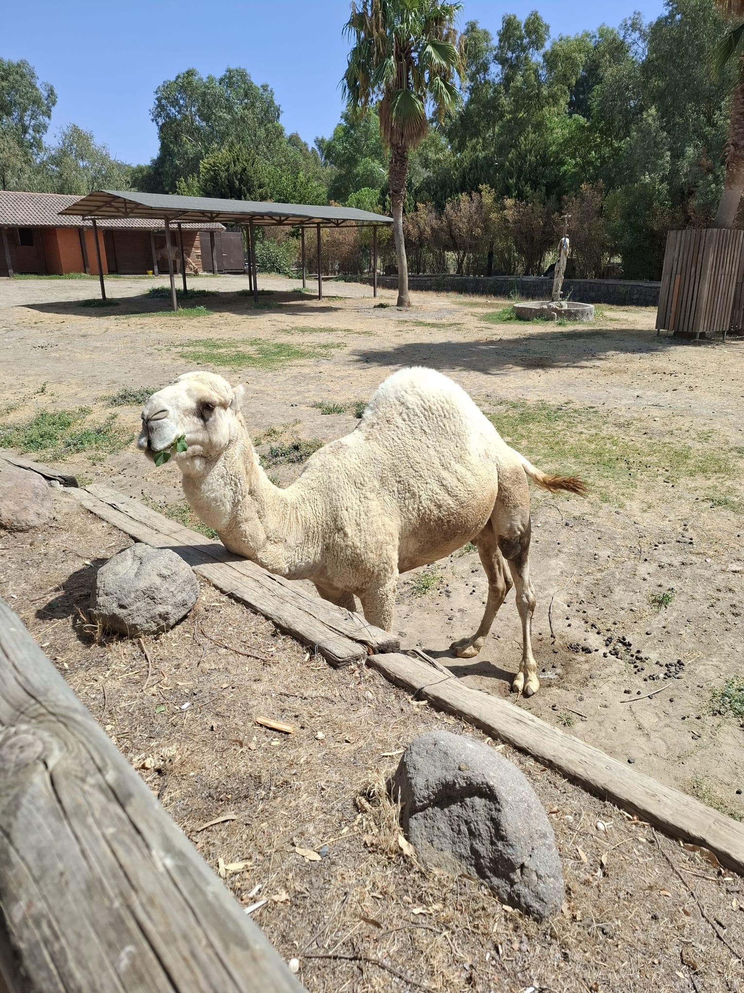 I M G 20250902 W A0028