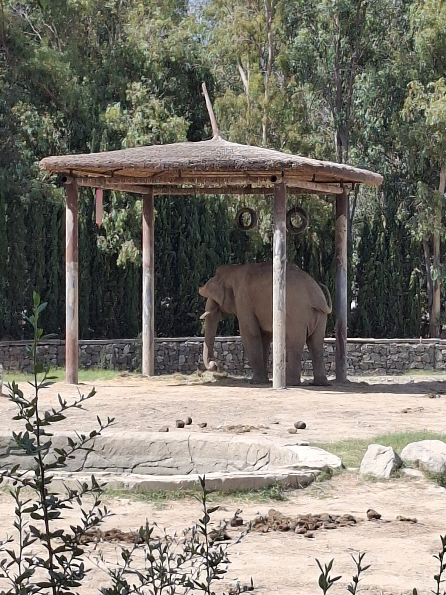 I M G 20250902 W A0029