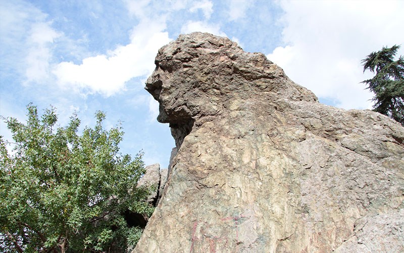 I M G 20250908 W A0026