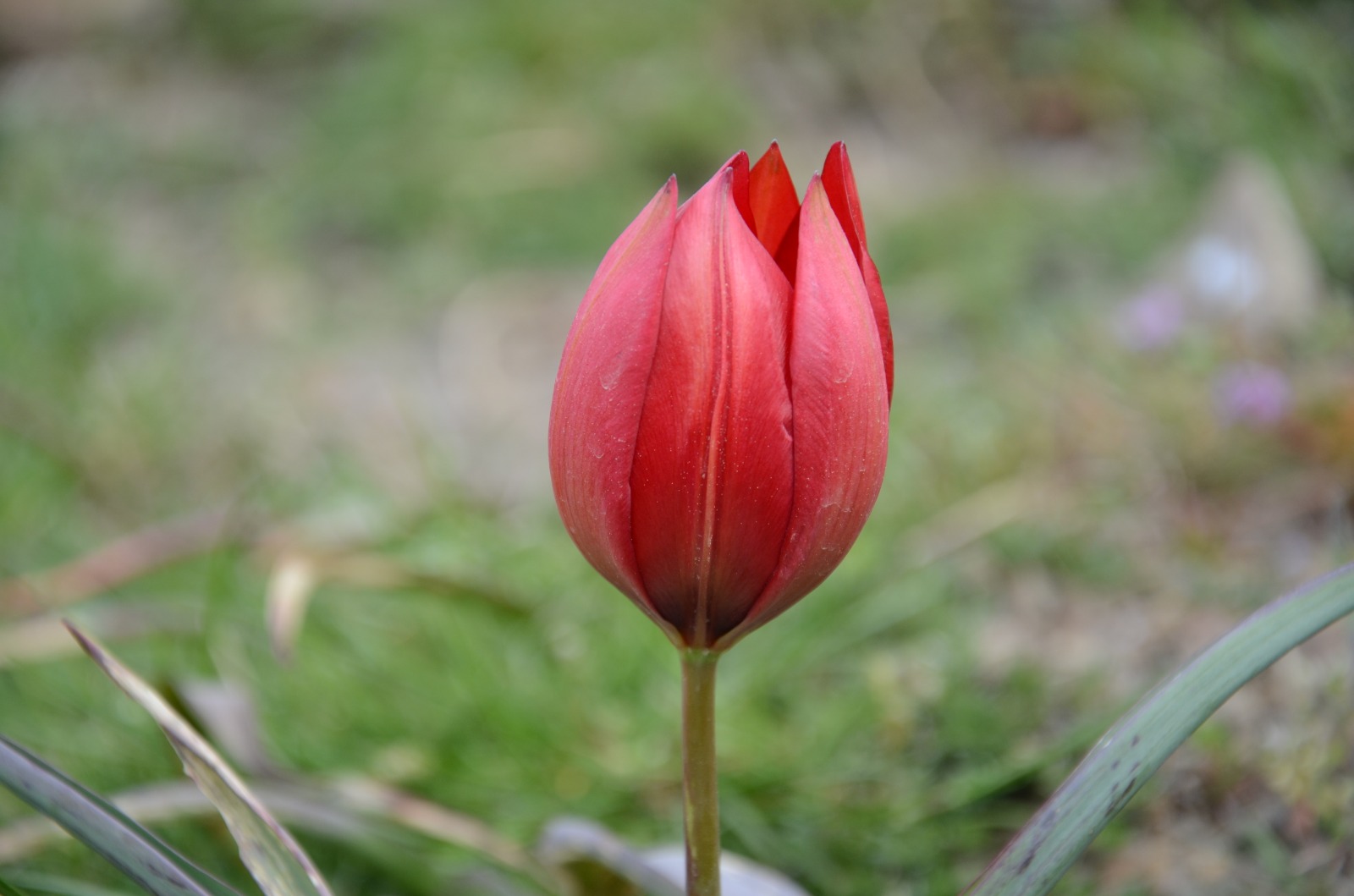 I M G 20250908 W A0083