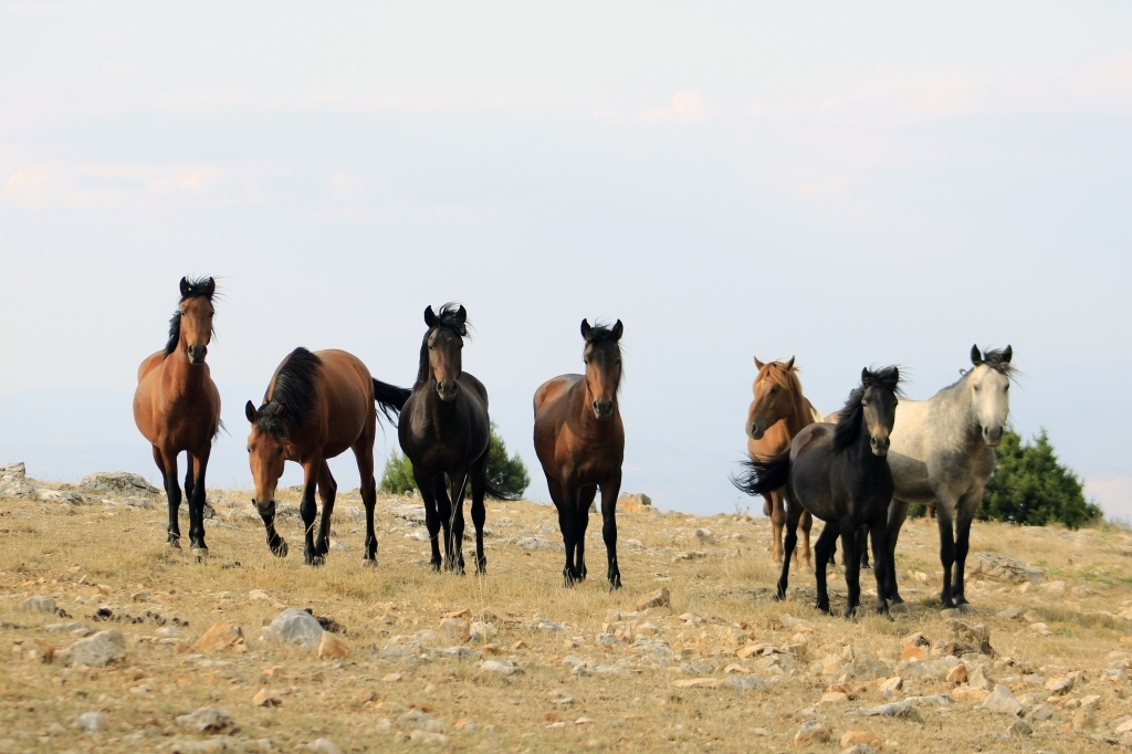 I M G 20250908 W A0085