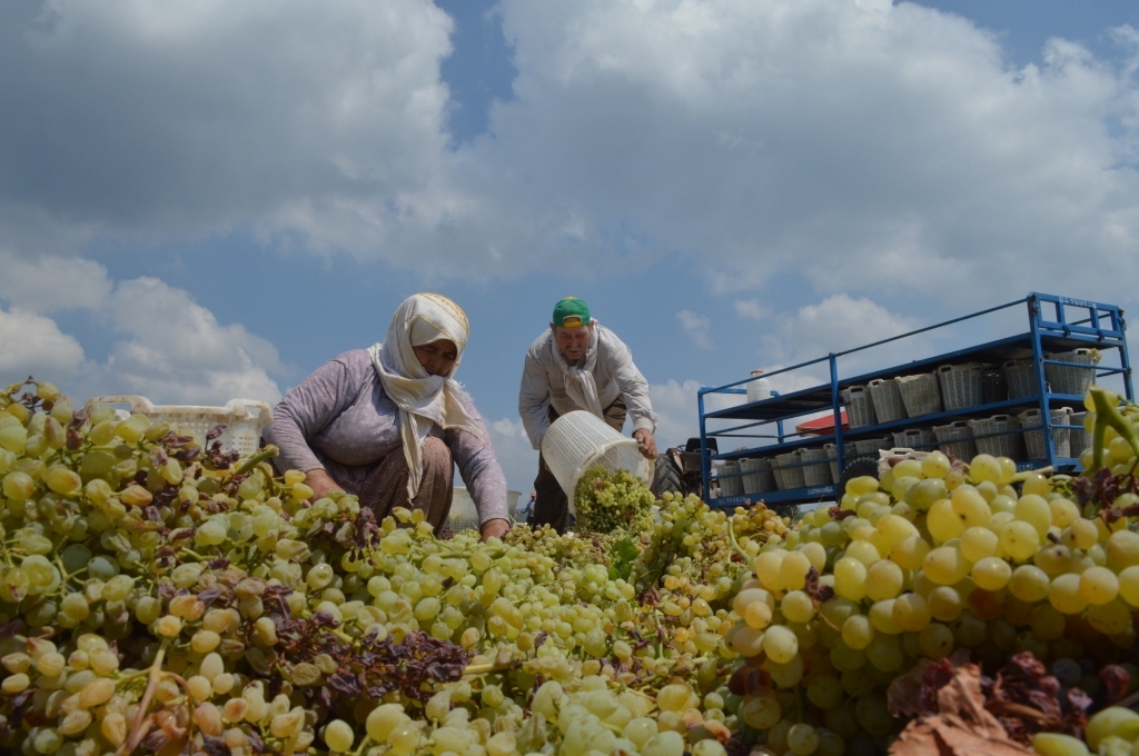 I M G 20250908 W A0086