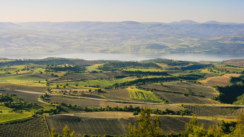 I M G 20250908 W A0087