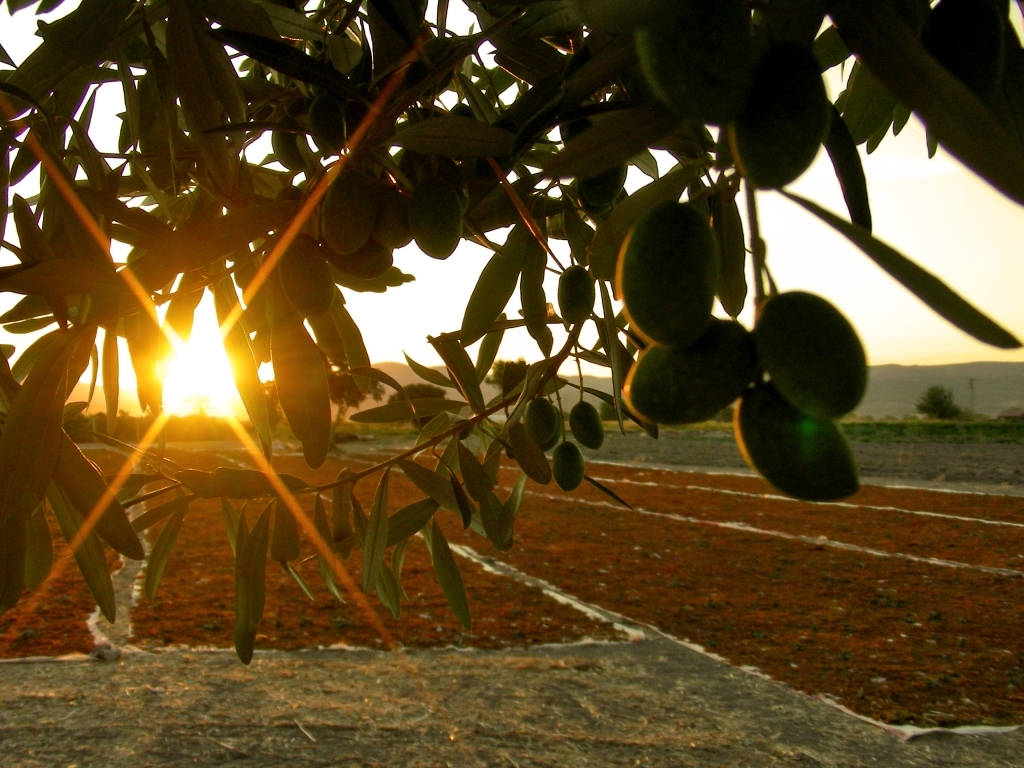 I M G 20250908 W A0088