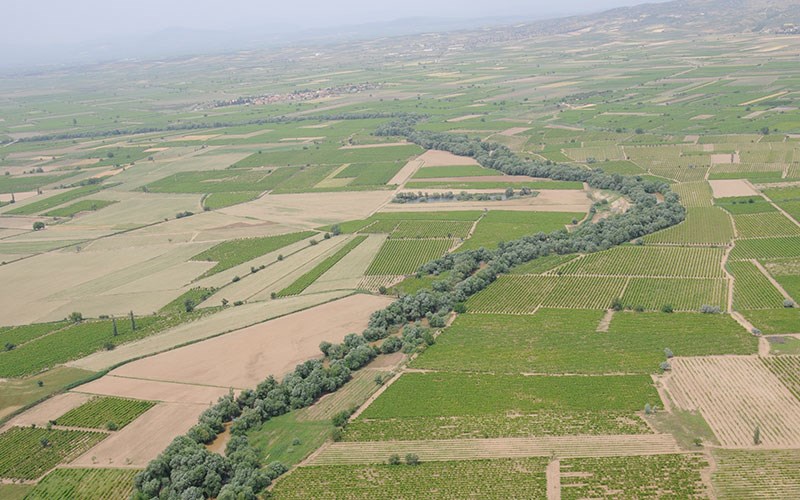 I M G 20250908 W A0089