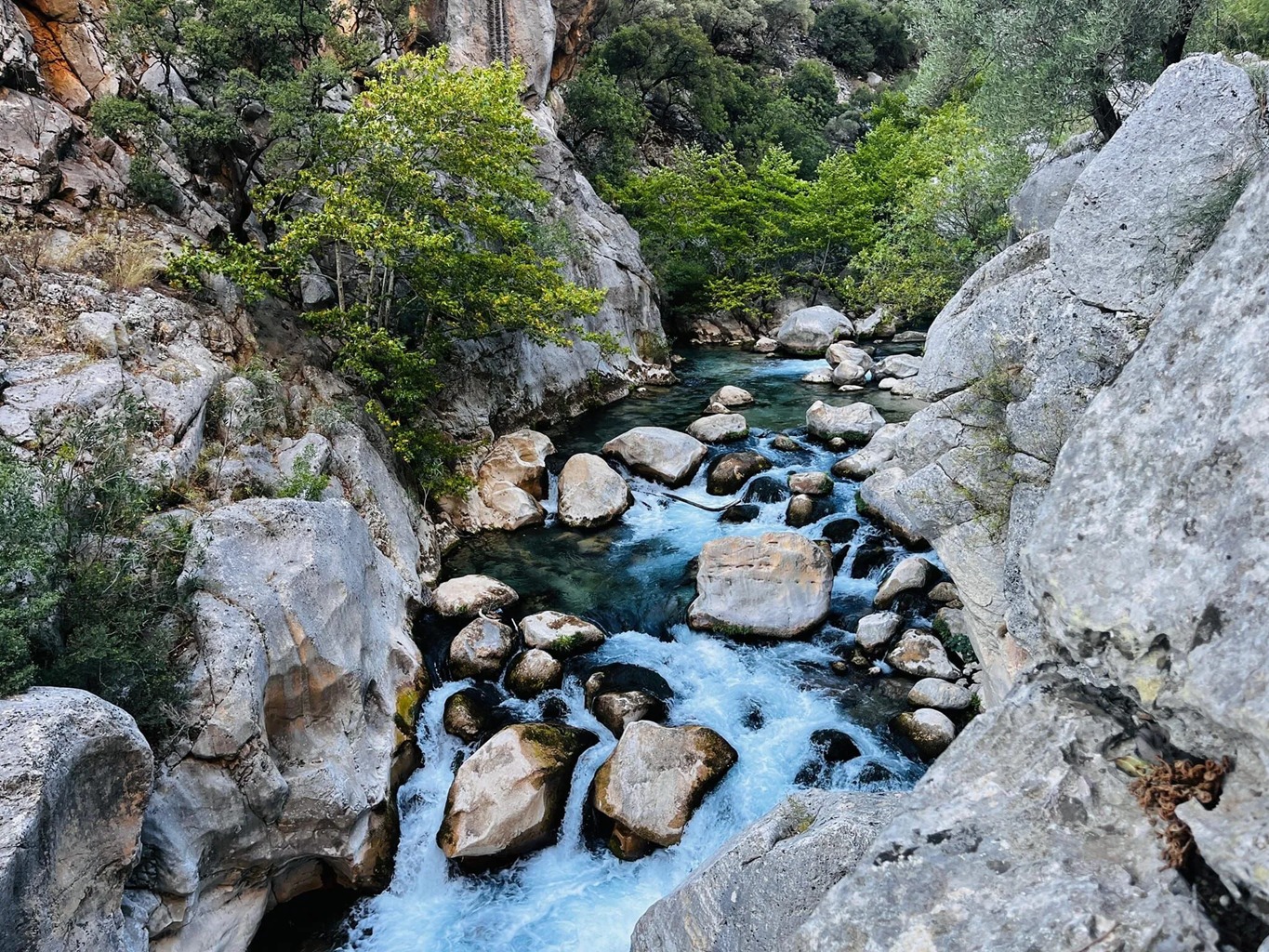 I M G 20250916 W A0022