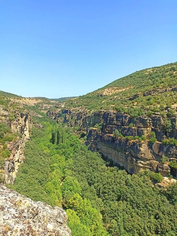 I M G 20250916 W A0025