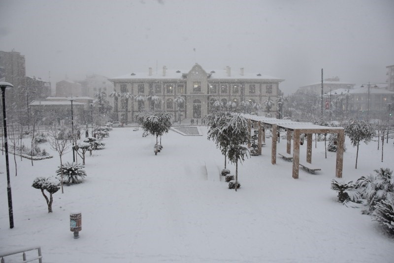 I M G 20250922 W A0008