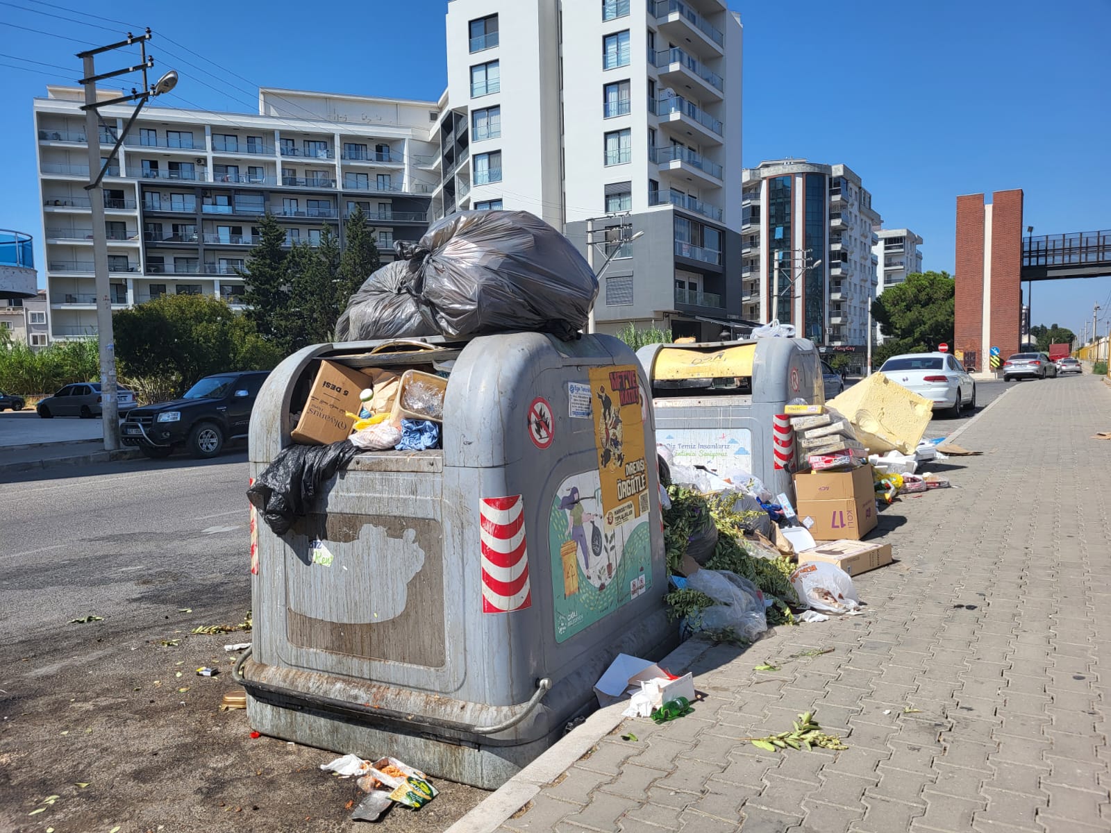 I M G 20250924 W A0026