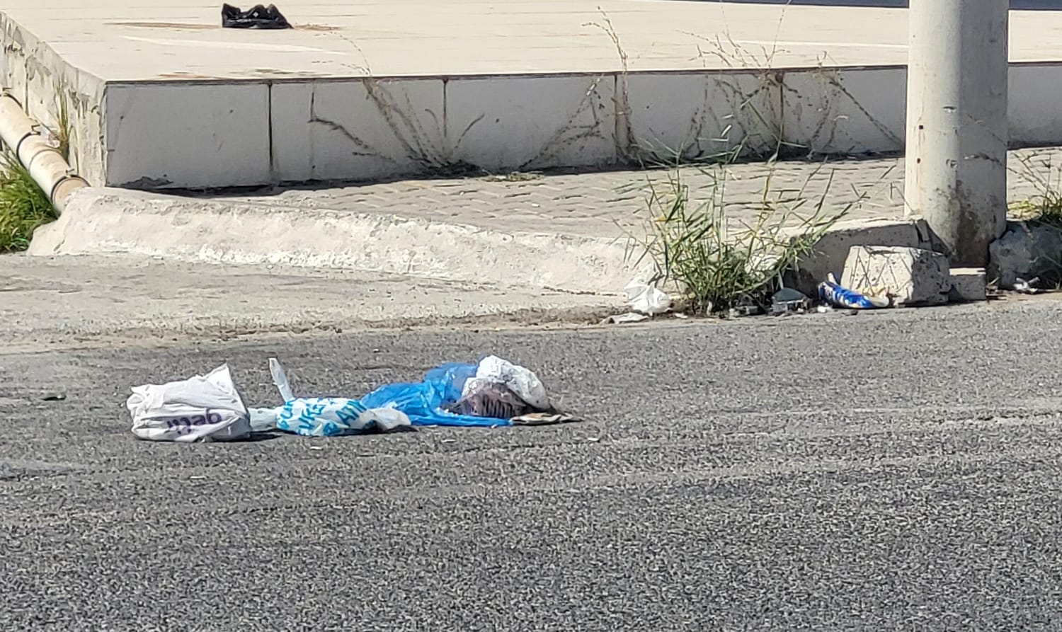 I M G 20250924 W A0031