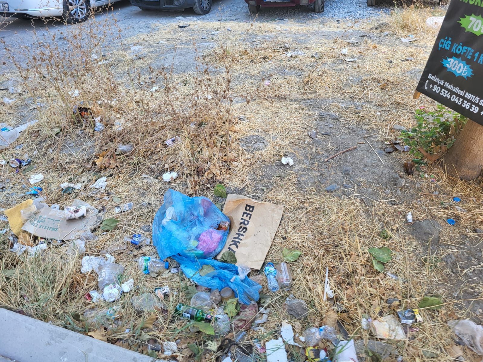 I M G 20250924 W A0032