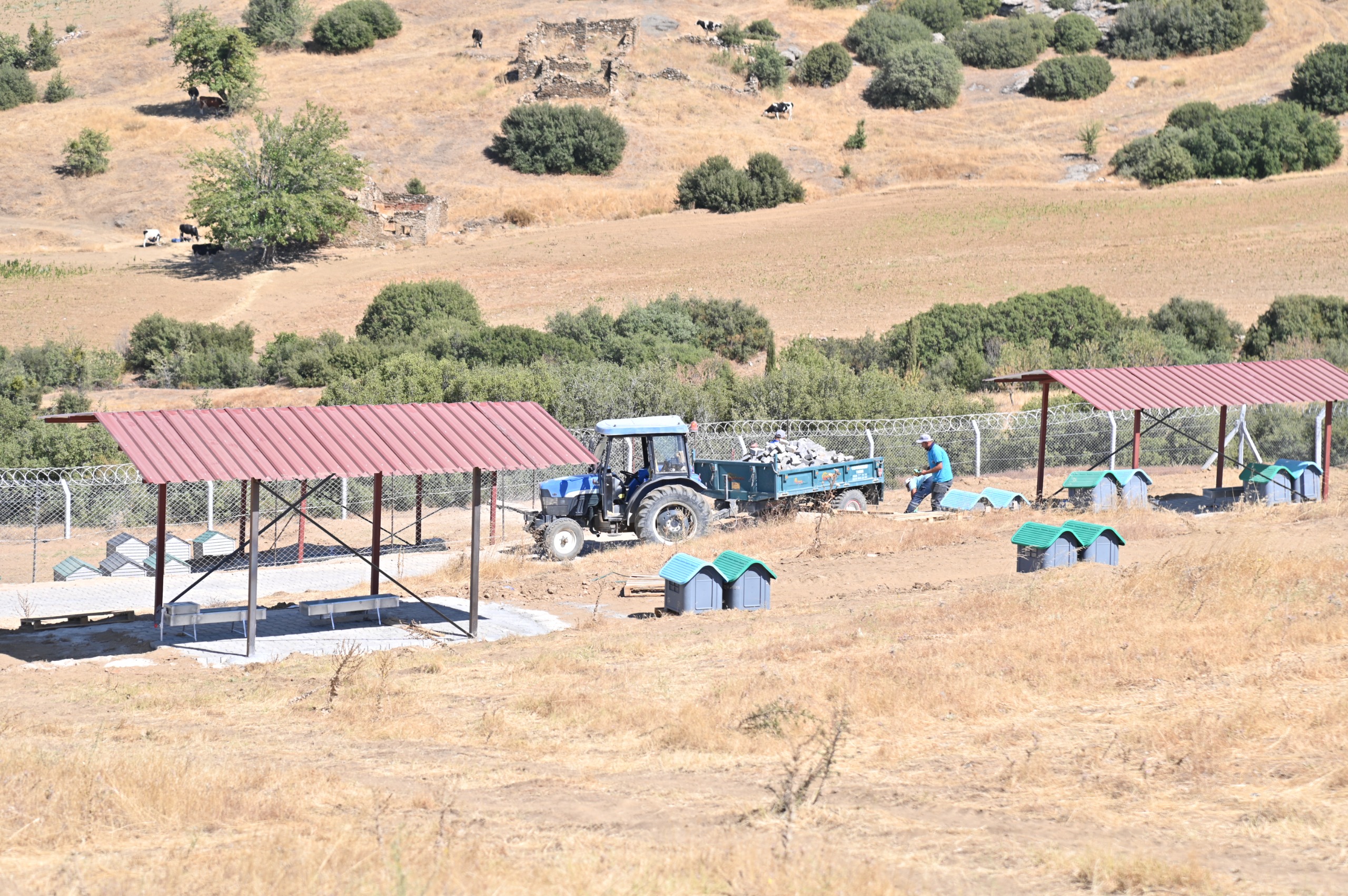 Sokak Hayvanları Komisyonu Kula’da Çalışmaları İnceledi (11)