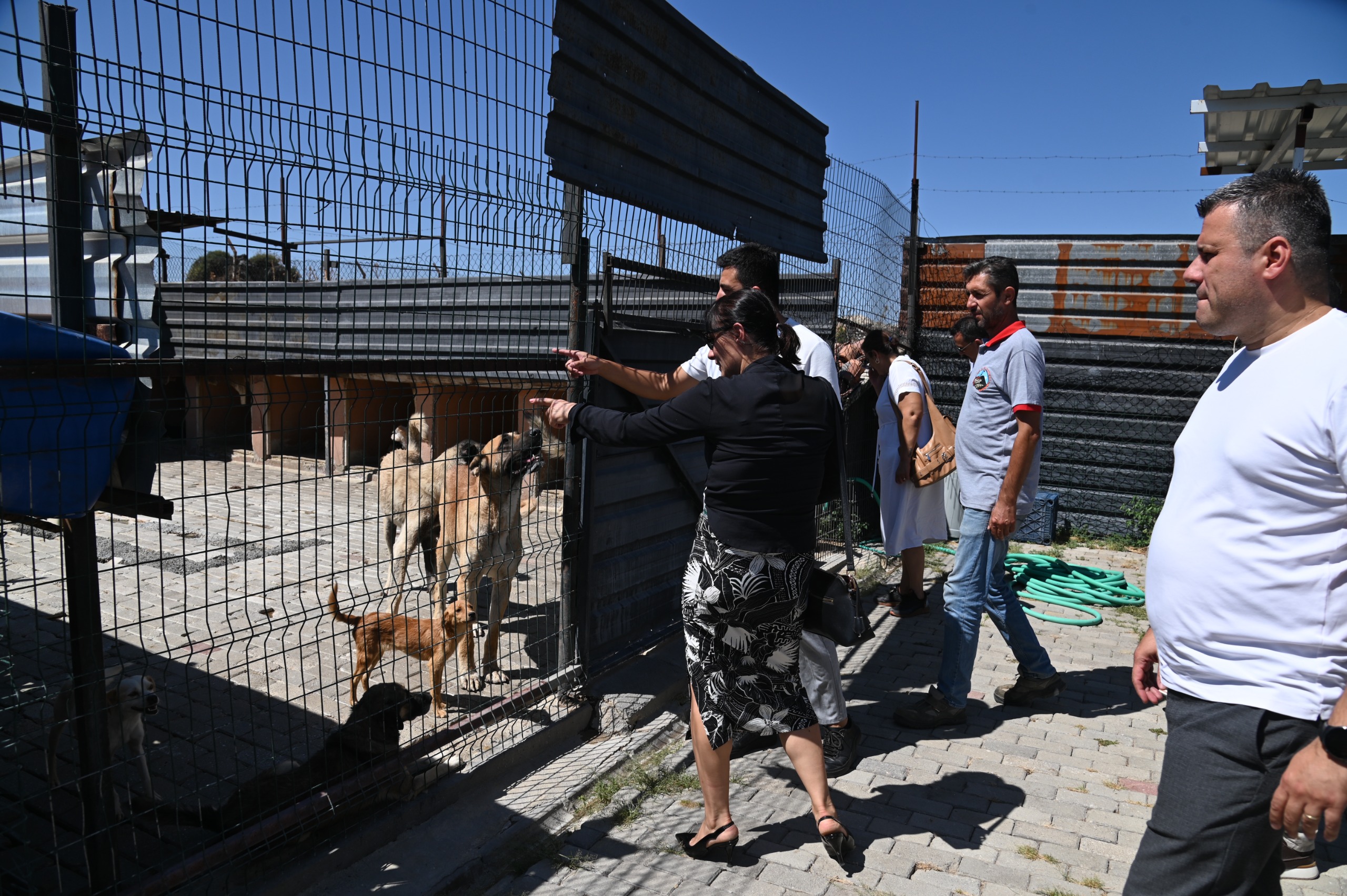 Sokak Hayvanları Komisyonu Kula’da Çalışmaları İnceledi (5)