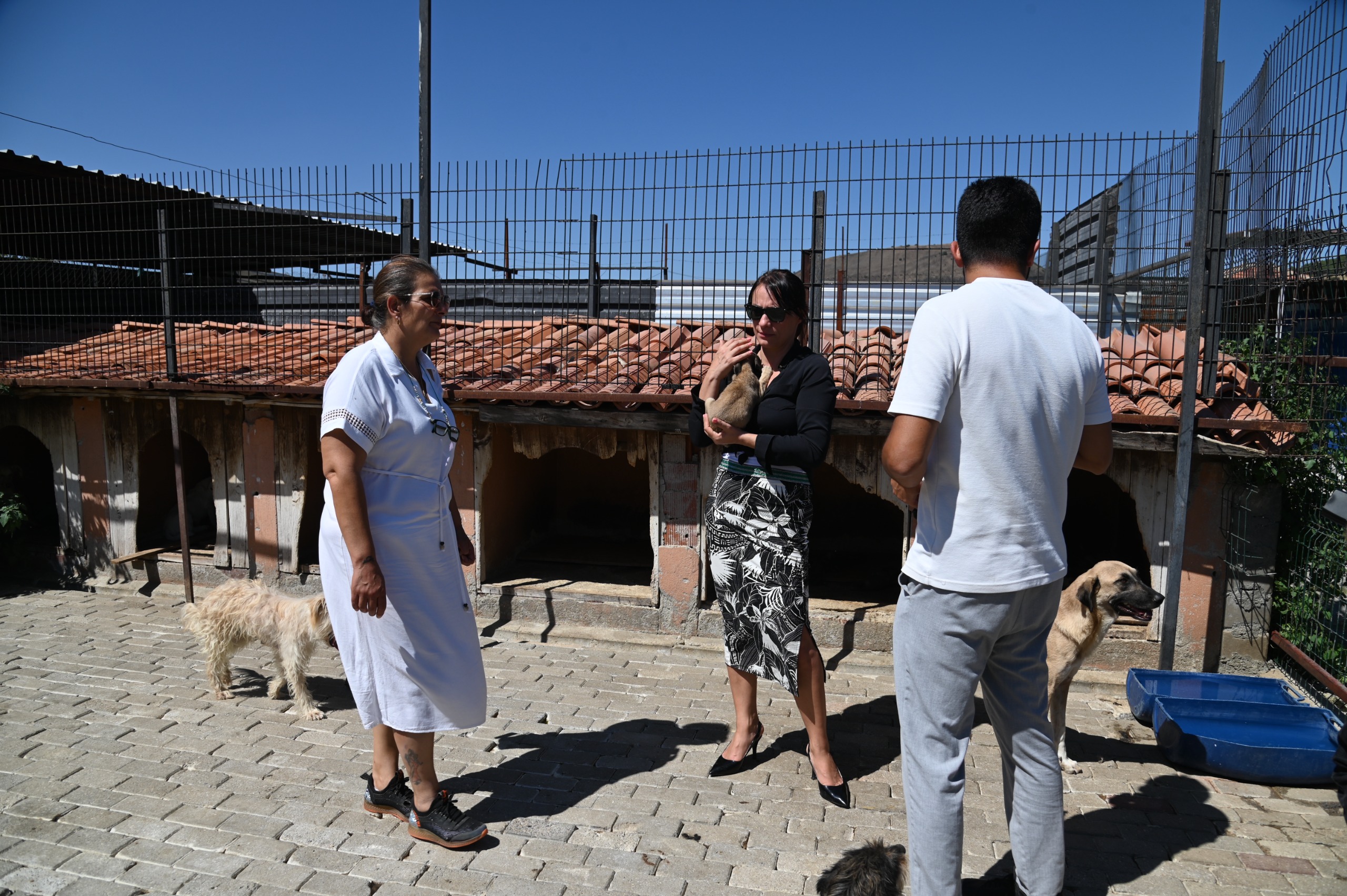 Sokak Hayvanları Komisyonu Kula’da Çalışmaları İnceledi (7)