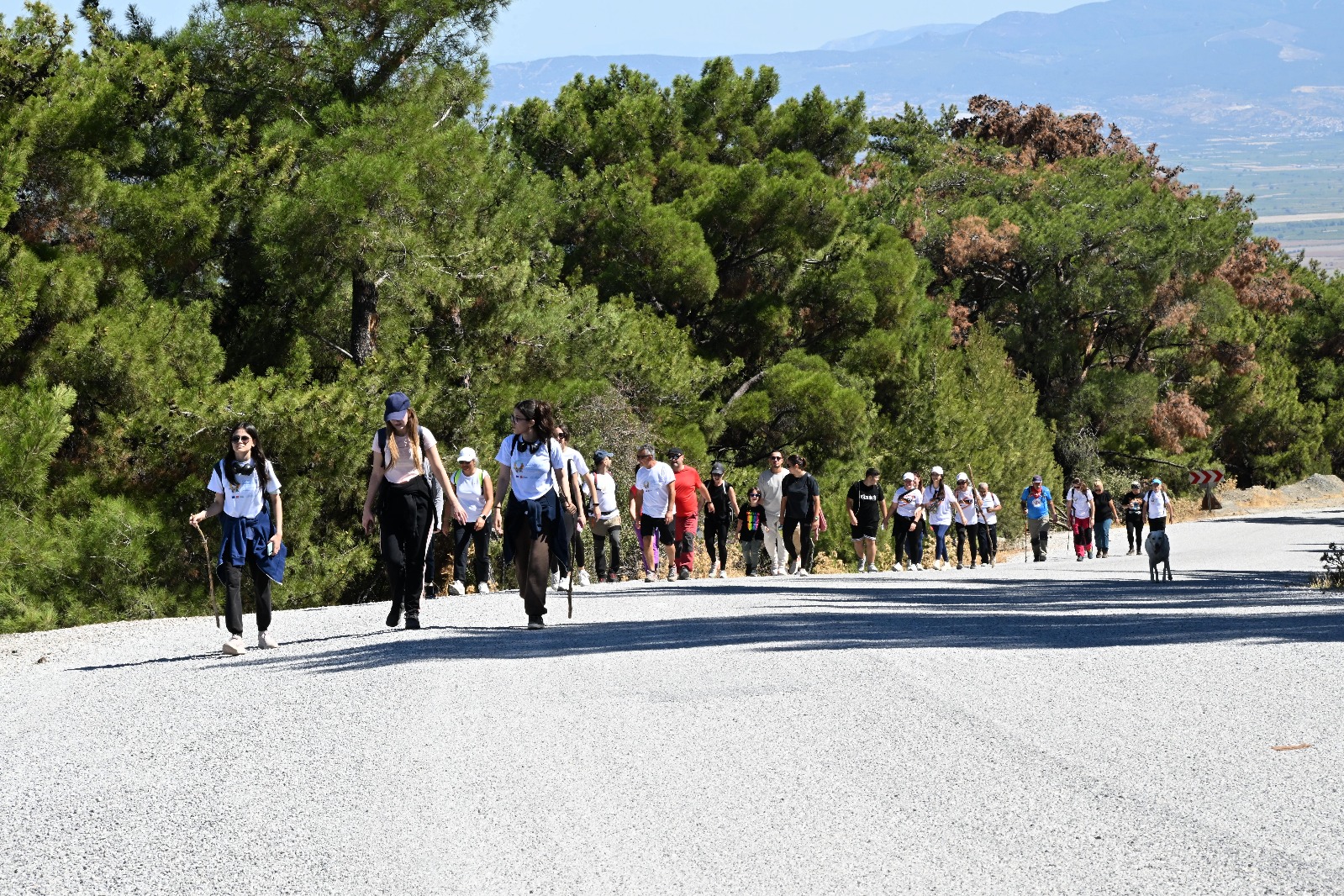 Whatsapp Görsel 2025 09 24 Saat 09.14.38 64286260