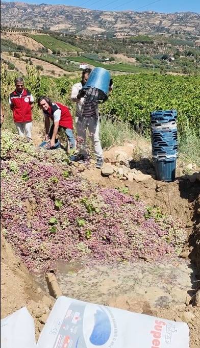 Whatsapp Image 2025 09 14 At 154431 2 68C6Bdb0C7B1C