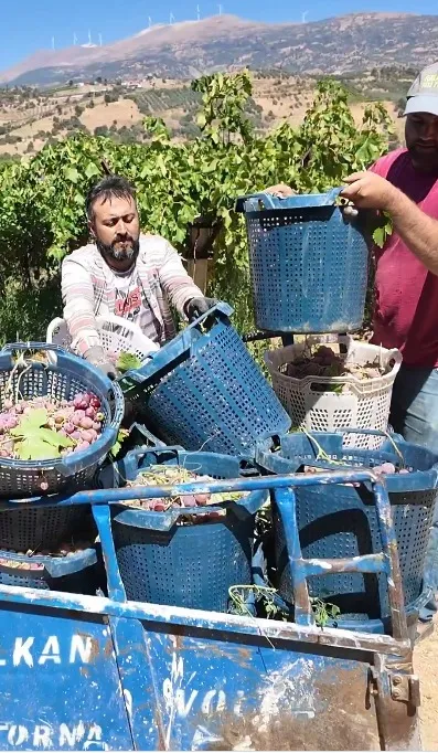 Whatsapp Image 2025 09 14 At 154431 68C6Bdb6E0563