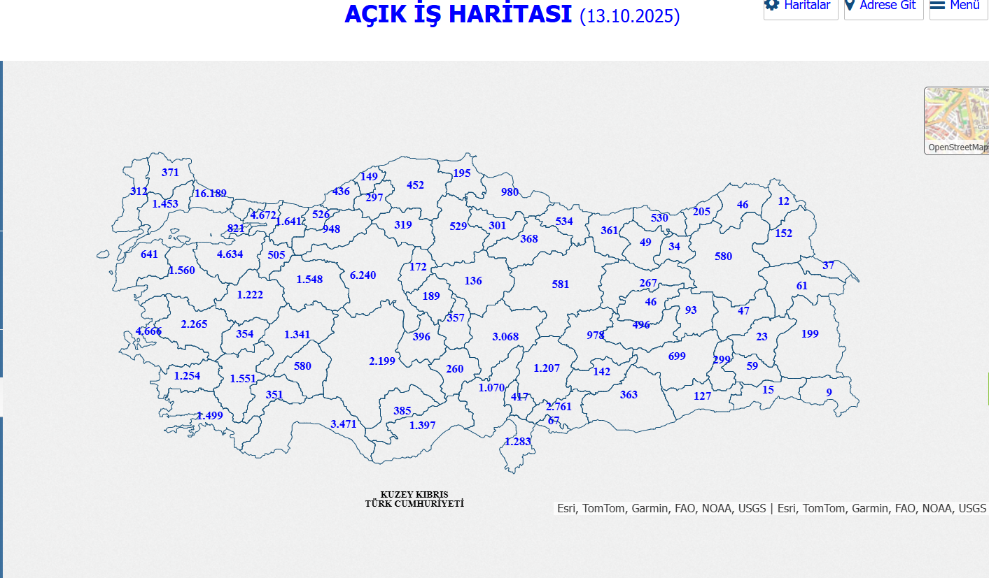 Ekran Görüntüsü 2025 10 13 131145