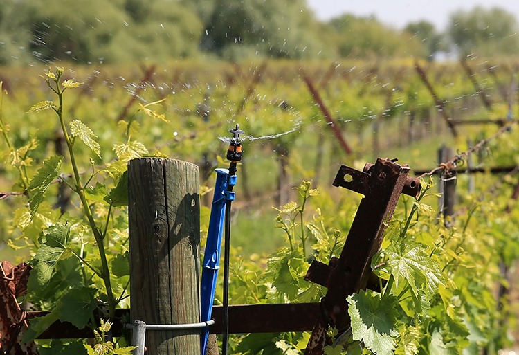 Whatsapp Image 2025 10 06 At 17.15.43 (2)