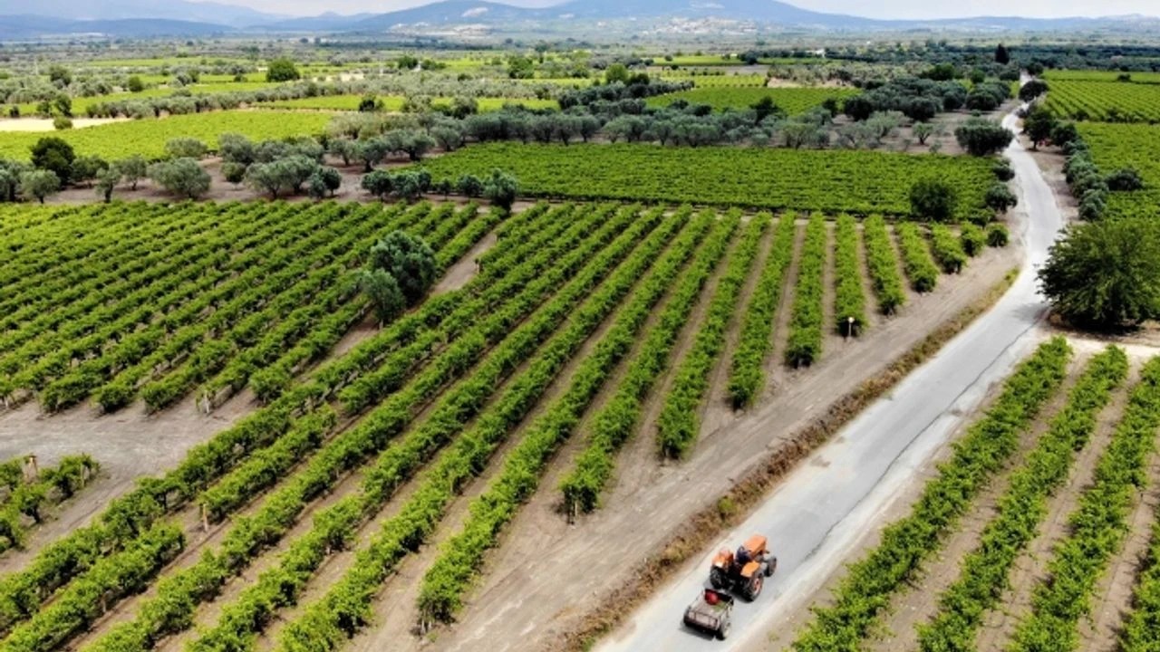 Whatsapp Image 2025 10 06 At 17.15.44