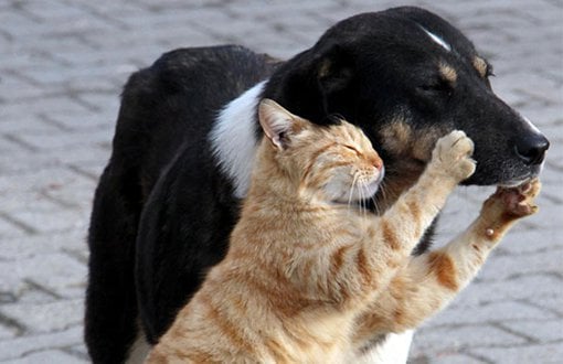 Manisa’nın güvenliği için kritik buluşma: Tuğgeneral Şen MAGİD ile bir arada