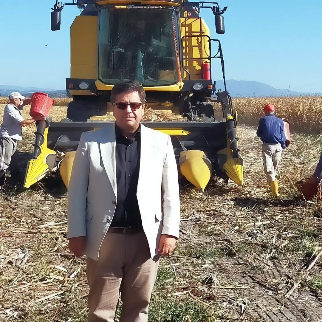 Manisa'da mısır hasadında son durum: Emin Özarı açıkladı