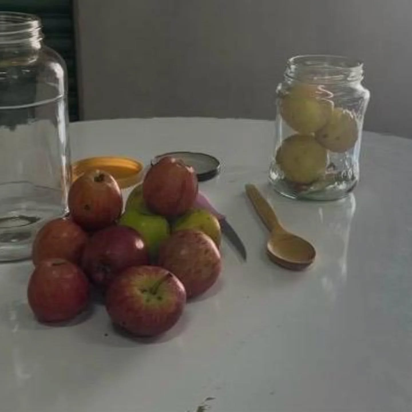 Manisa’da kadınlardan zararlılara karşı doğal çözüm