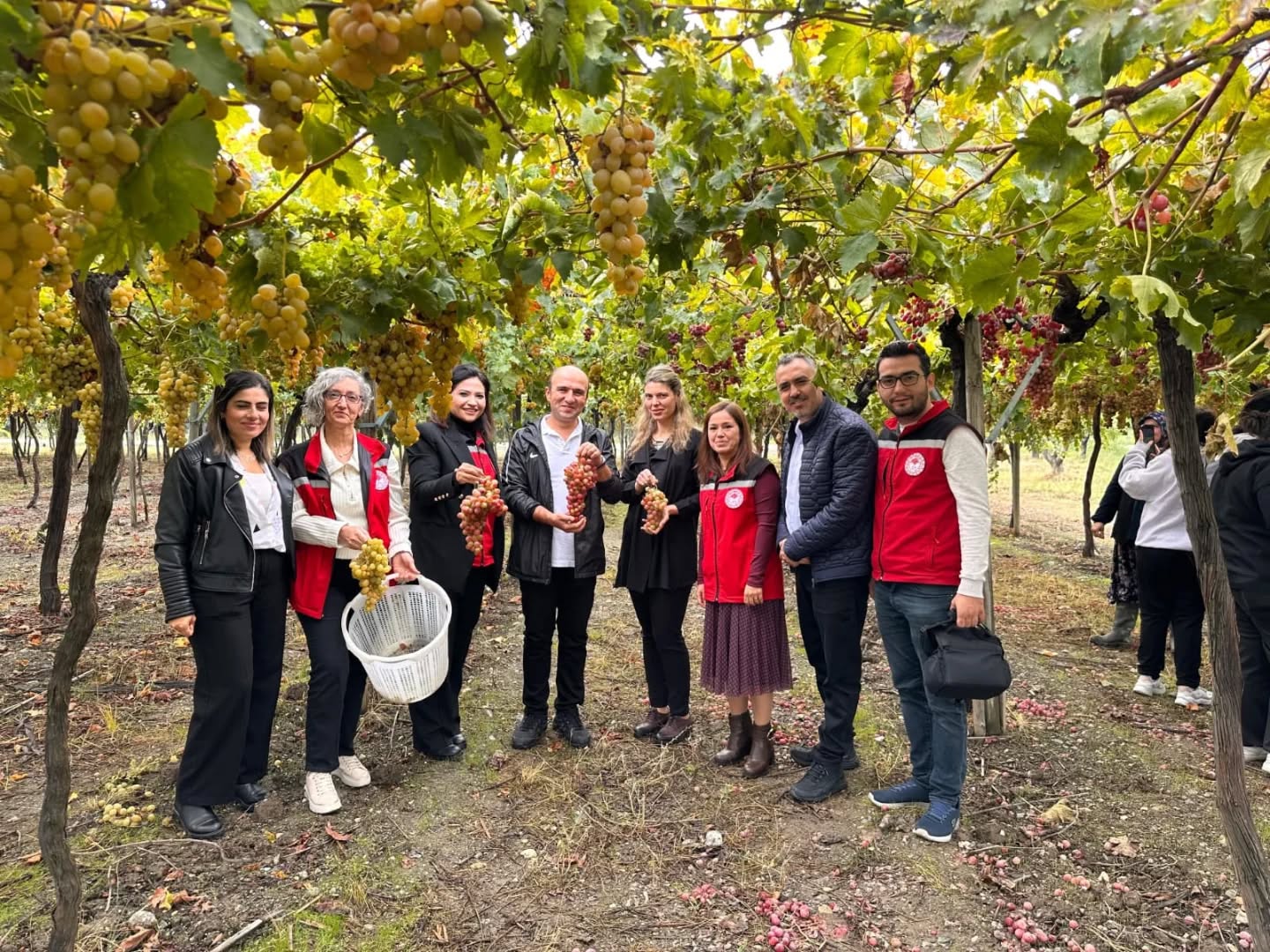 Tarımın kalbi Manisa'da Dünya Gıda Günü farkındalığı