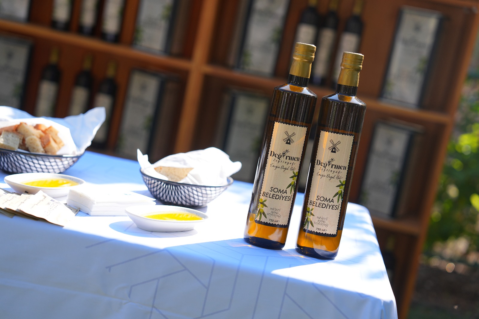 Manisa’nın ilçesinde zeytin hasadı şenliği