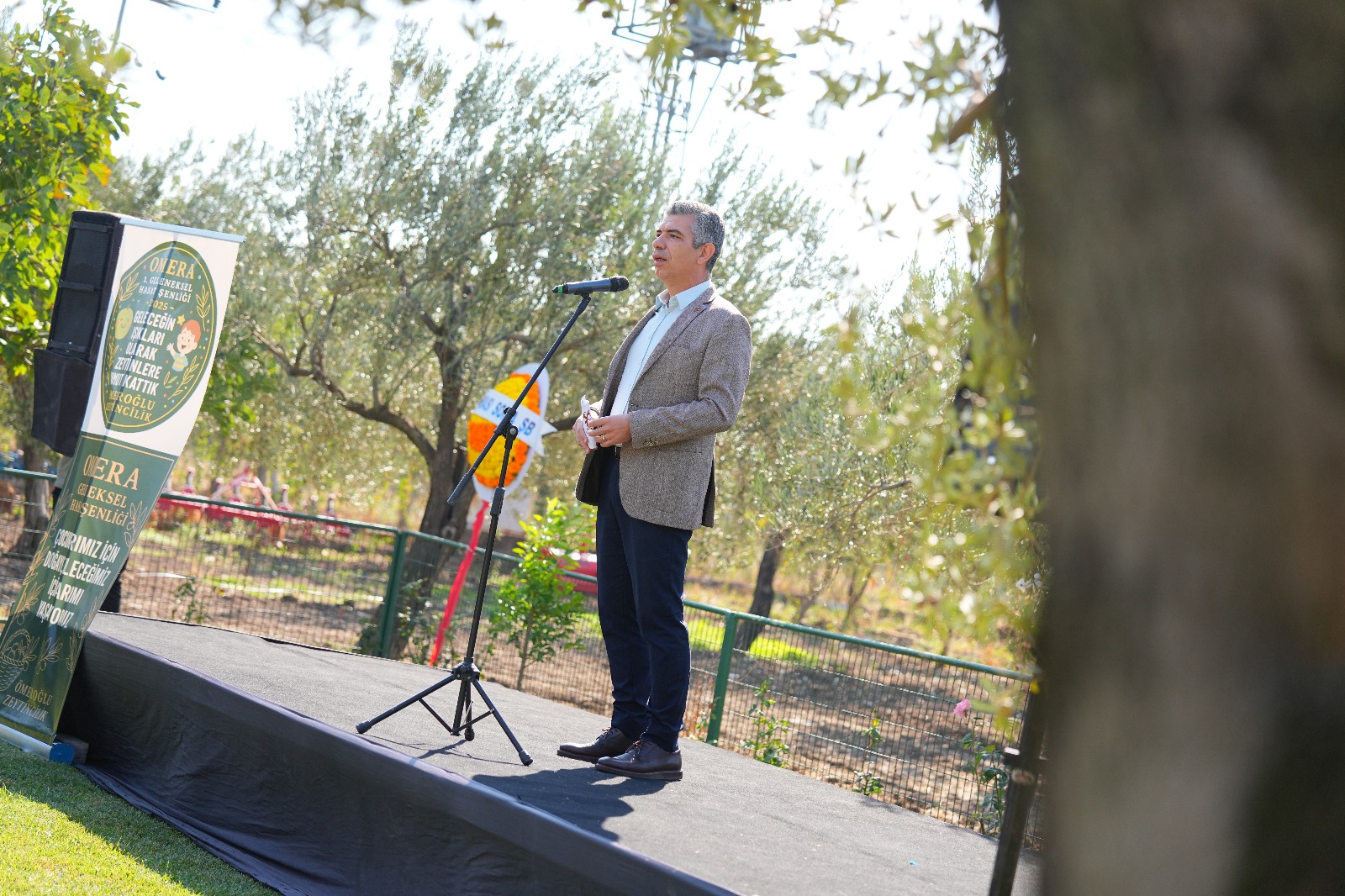 Manisa’nın ilçesinde zeytin hasadı şenliği