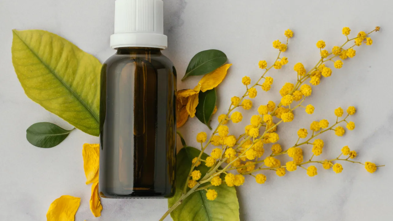 Kendisi küçük, faydası büyük: Bu bitki her derde deva!