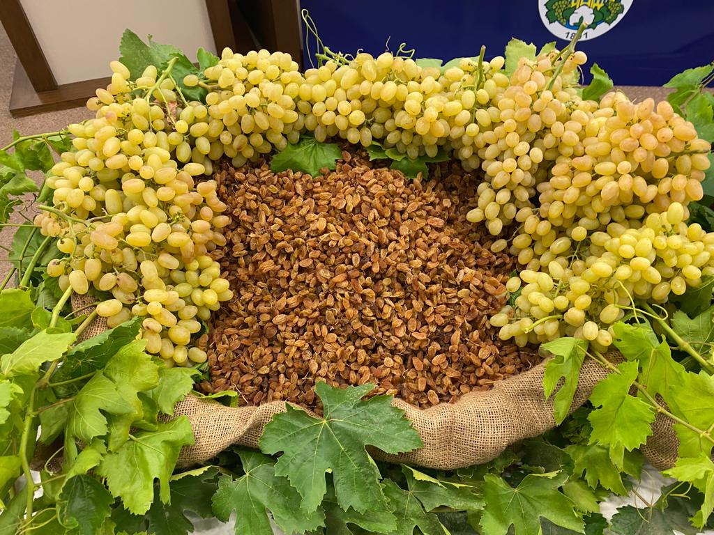 Manisa ihracatta yıldız gibi parlıyor: Ege’de zirveye göz kırptı