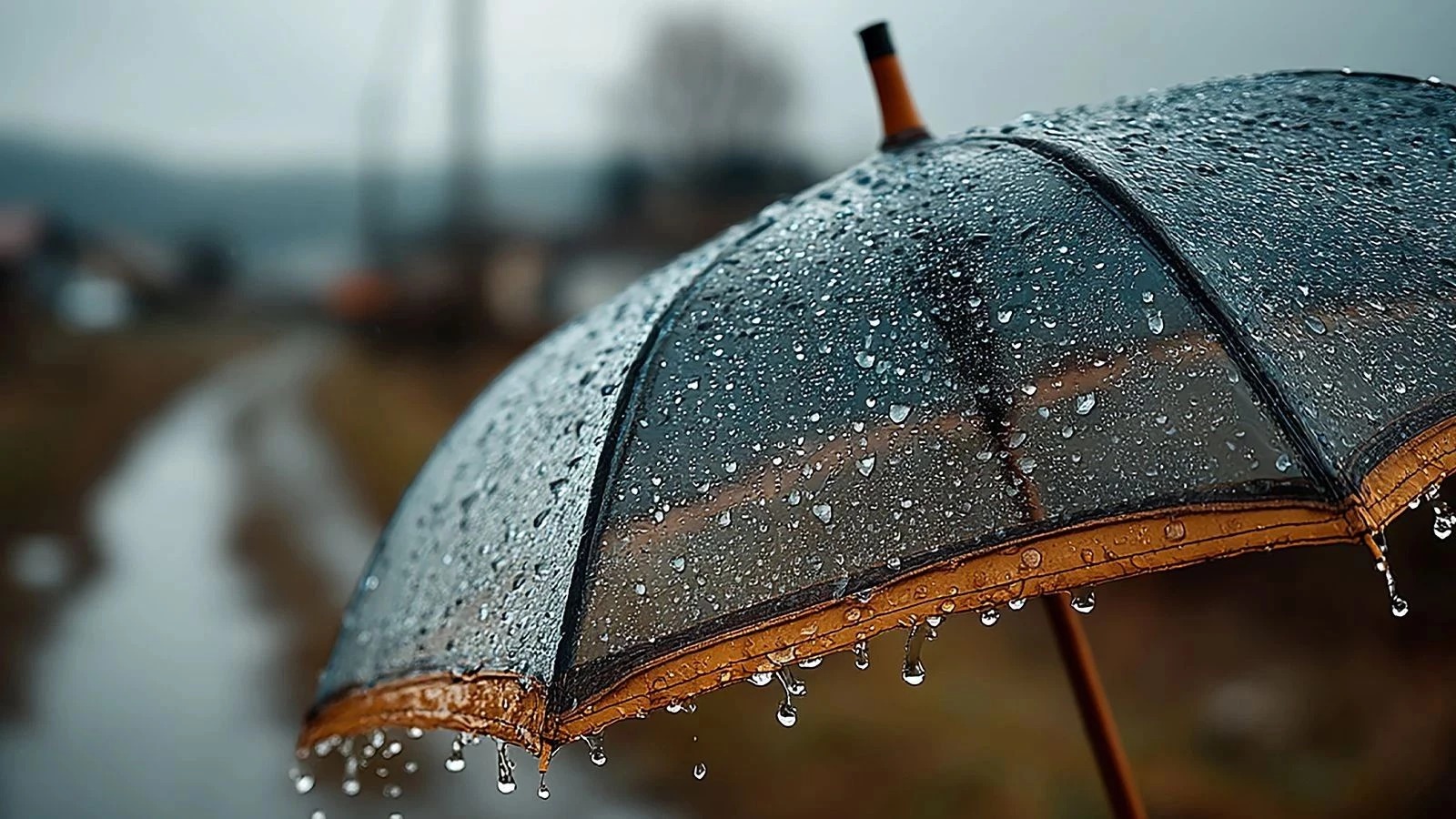 Manisa’da Damla Damla Bereket Yağış Oranları Açıklandı (2)