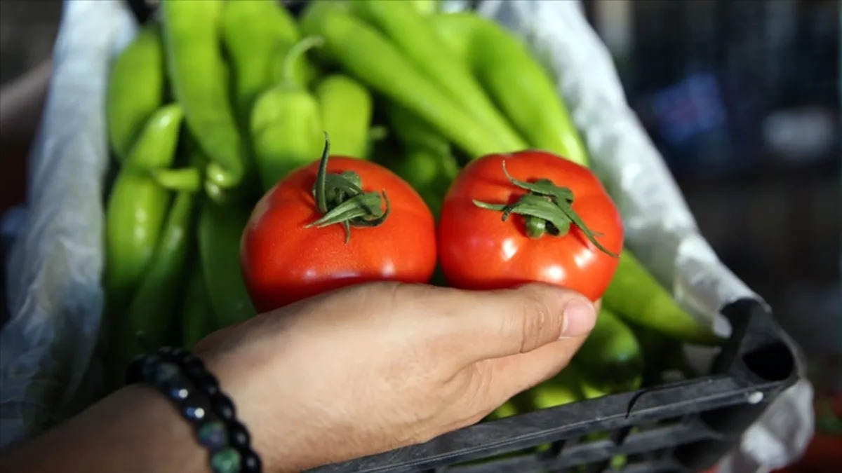 Manisa’da Tarımın Ihracat Grafiği Ters Köşe Yaptı (1)