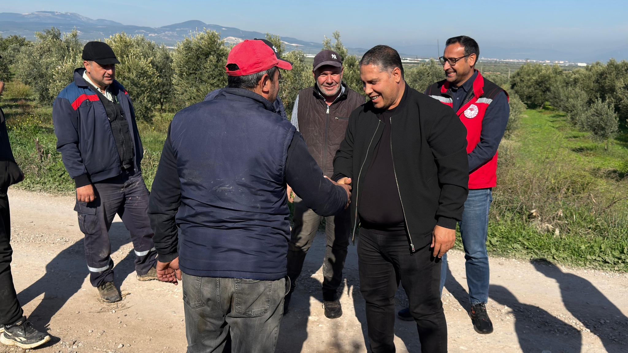 Manisa’da zeytin hasadı başladı: Tarım ve Orman İl Müdürü Karayılan hasada katıldı