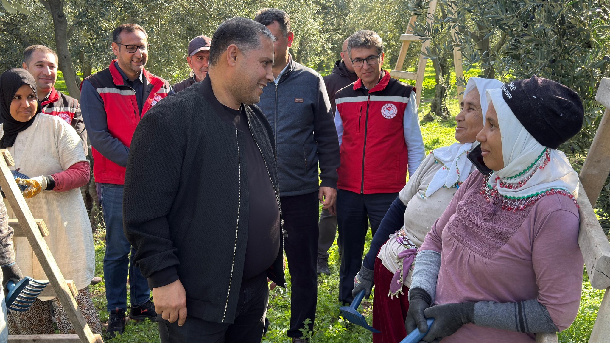 Manisa’da zeytin hasadı başladı: Tarım ve Orman İl Müdürü Karayılan hasada katıldı