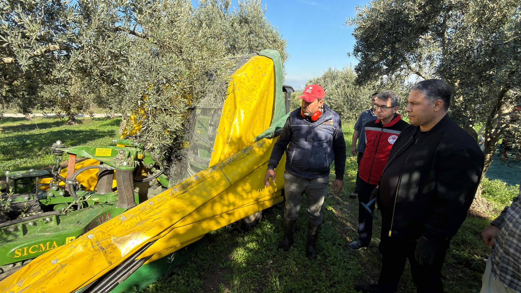 Manisa’da zeytin hasadı başladı: Tarım ve Orman İl Müdürü Karayılan hasada katıldı